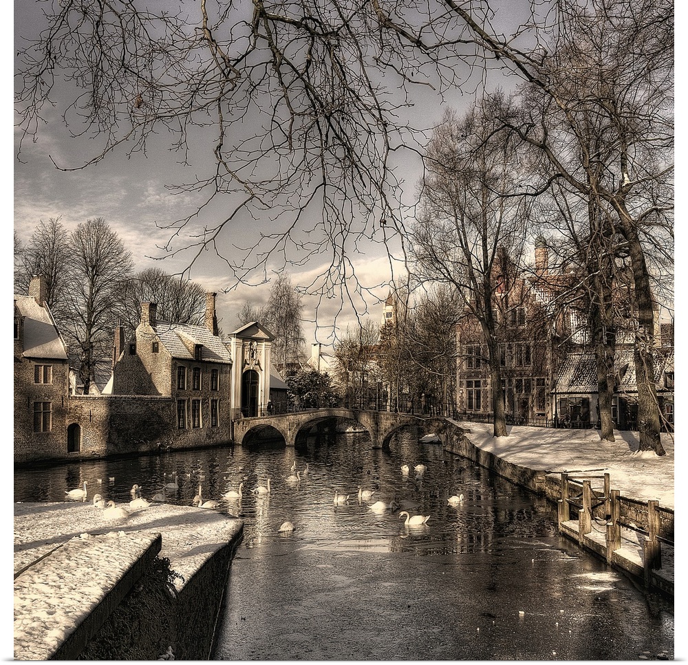 Canal with swans flowing through a snow covered Bruges, Belgium.
