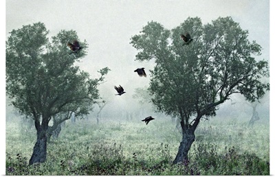 Crows In The Mist