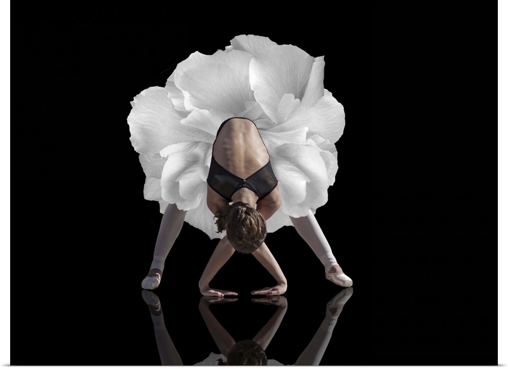 Conceptual image of a ballerina leaning forward with her hands on the ground, with a flower for a tutu.
