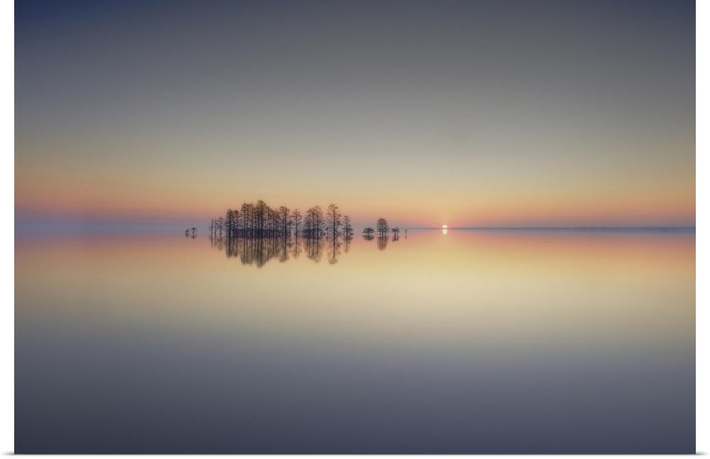 Reflective photograph of cypress trees at sunrise on a calm day at Lake Mattamuskeet, North Carolina.