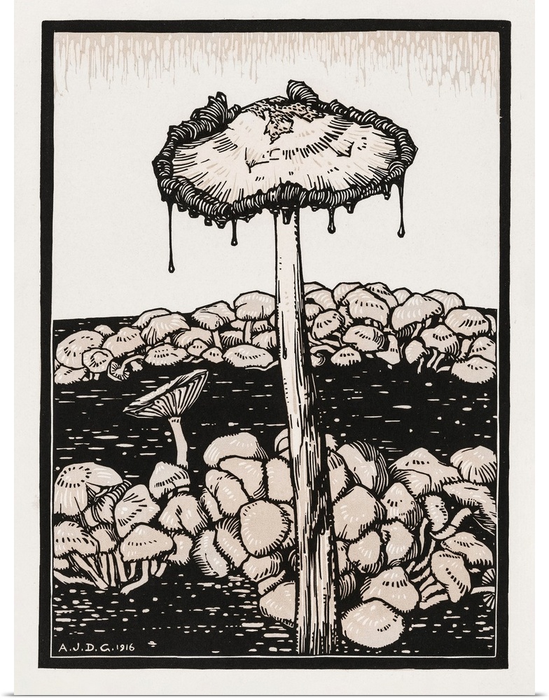Dripping mushroom (1916) by Julie de Graag (1877-1924). Original from The Rijksmuseum.