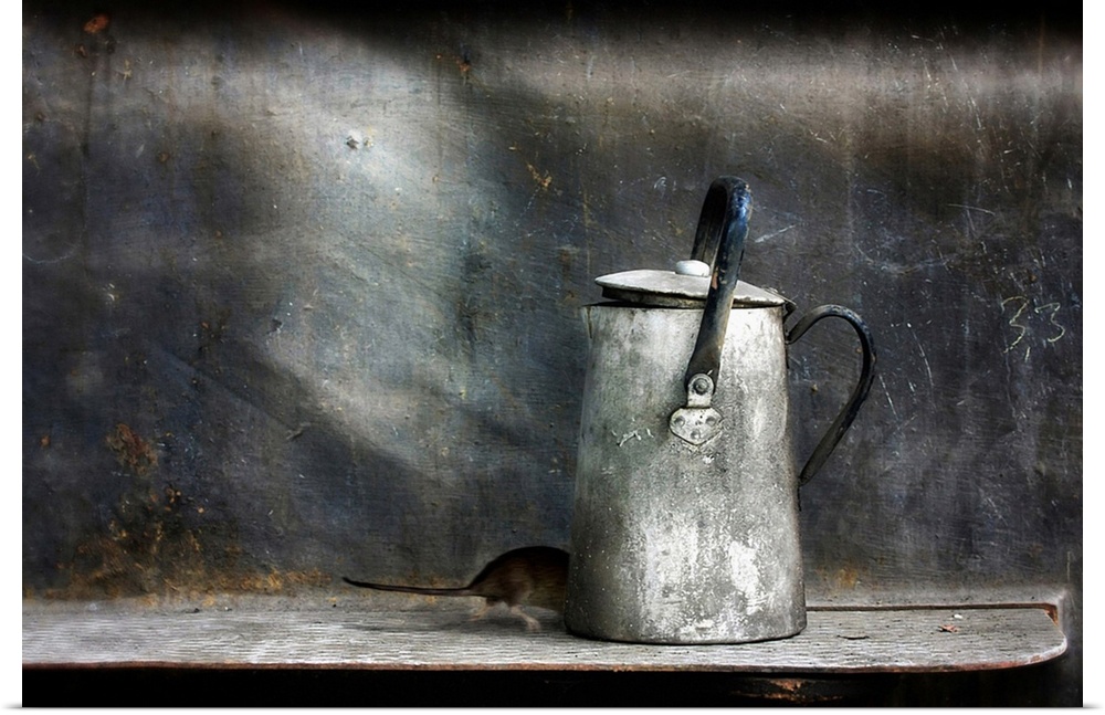 A mouse runs quickly behind an old metal tea kettle to hide.