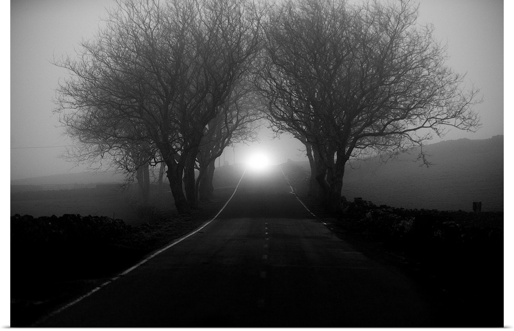 A countryside road narrowing in the distance through fog shrouded trees.