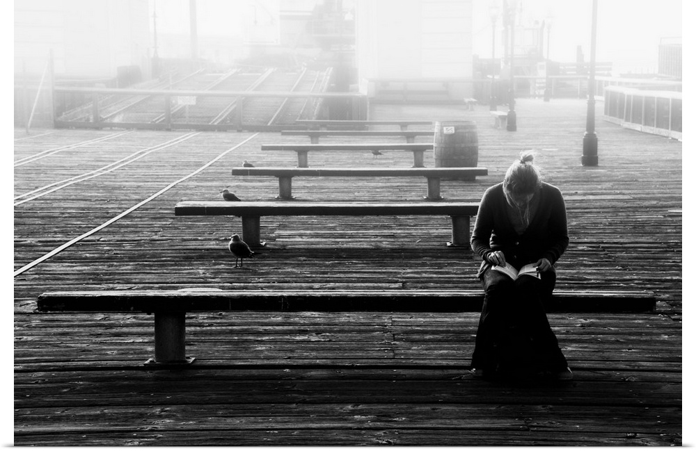 A woman reading on a bench on a pier with seagulls in the mist.