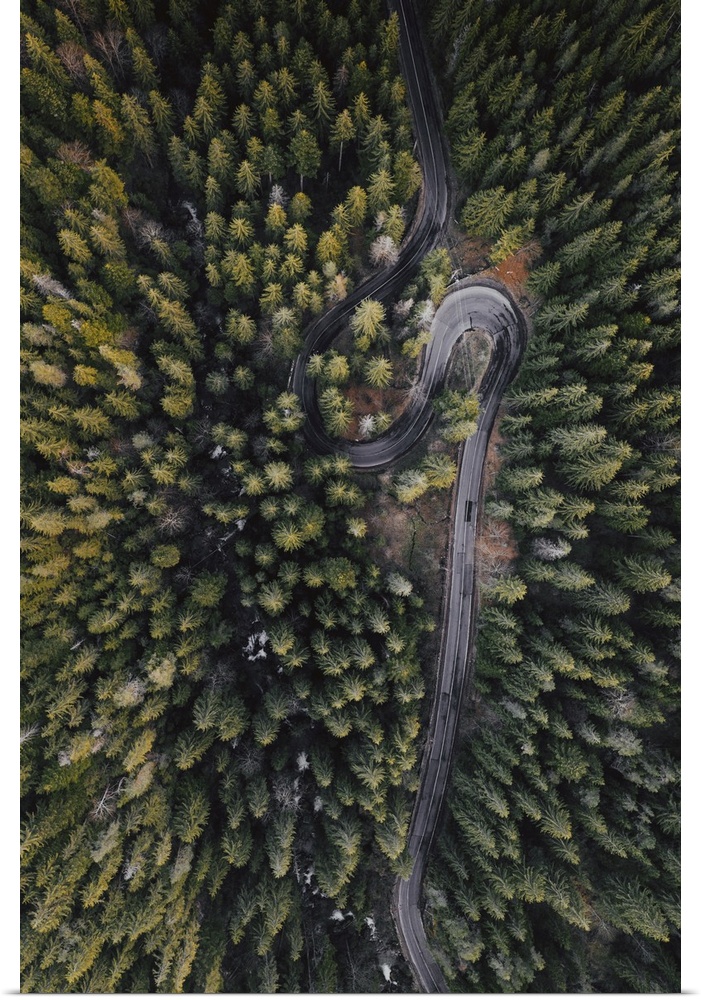 Drone view of winding forest road.