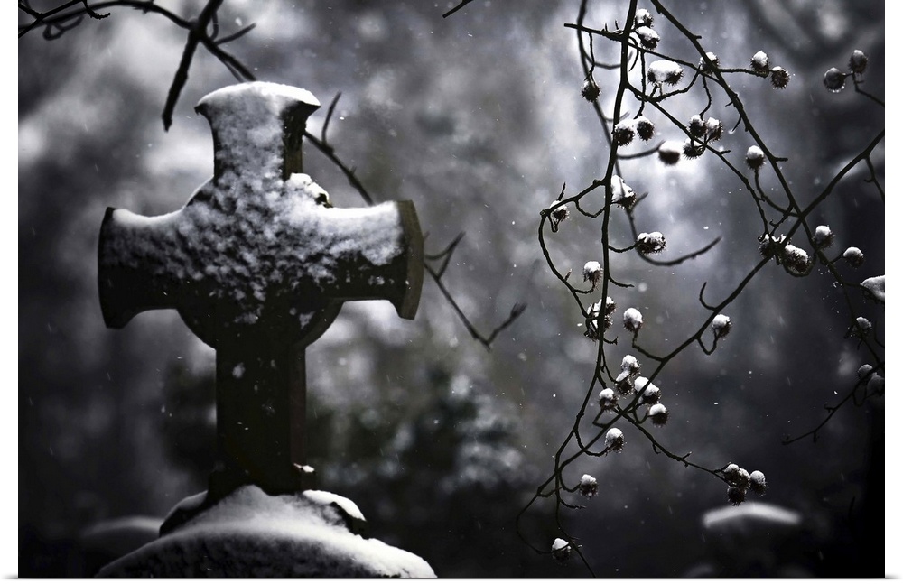 A snowfall starting to settle onto a cross-shaped gravestone and round burrs on branches.