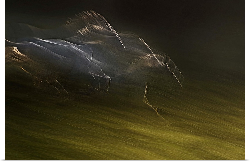 Blurred motion image of galloping horses in a field, creating an abstract image.