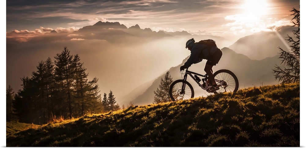 A silhouetted mountain bike rider seen in the early morning light.