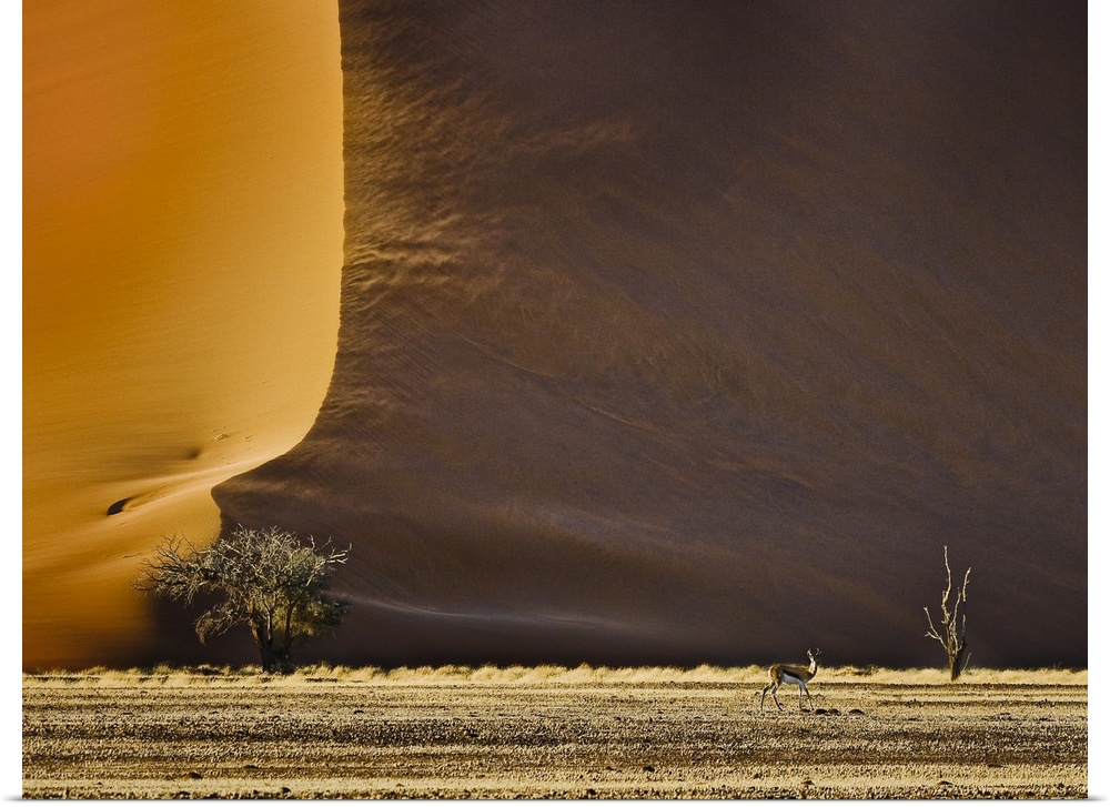 An antelope appears tiny in front of the massive sand dunes in the desert.