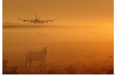 Horses and Planes