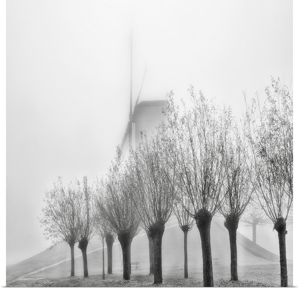 A row of trees obscuring a windmill in the fog, Bruges, Belgium.