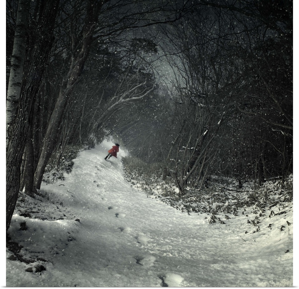 A figure in a red coat running through the snow in a forest leaving a trail of footprints, the tree twisting around them.