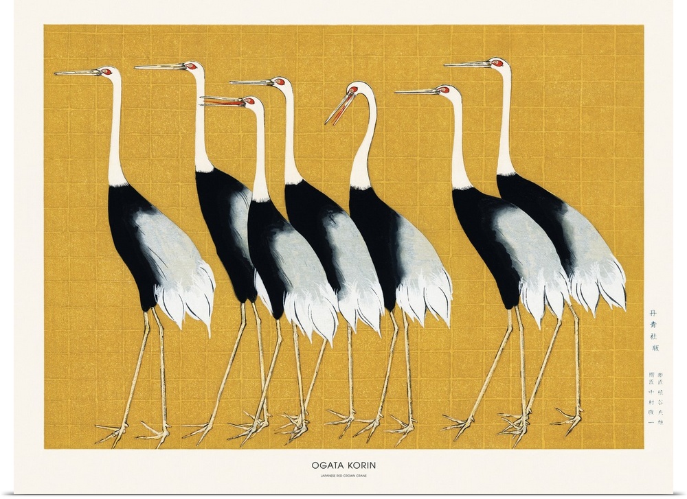 A traditional portrait of a flock of beautiful Japanese red crown crane by Ogata Korin (1658-1716).