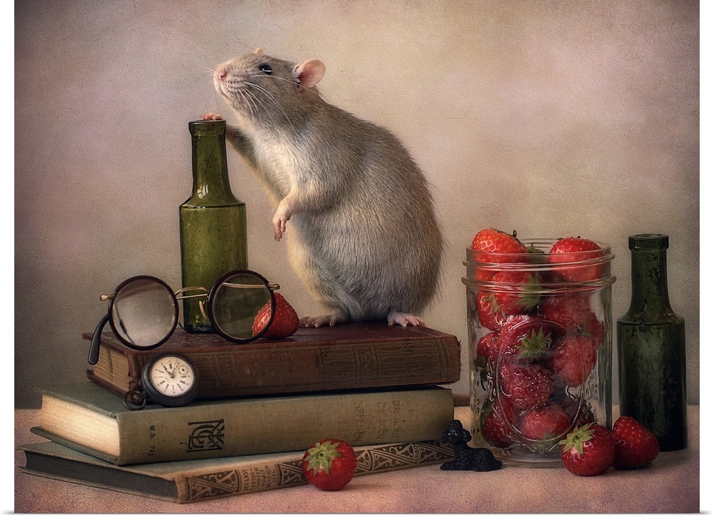 A conceptual photograph of a mouse standing on a pile of books with small glass bottles and a jar filled with strawberries.