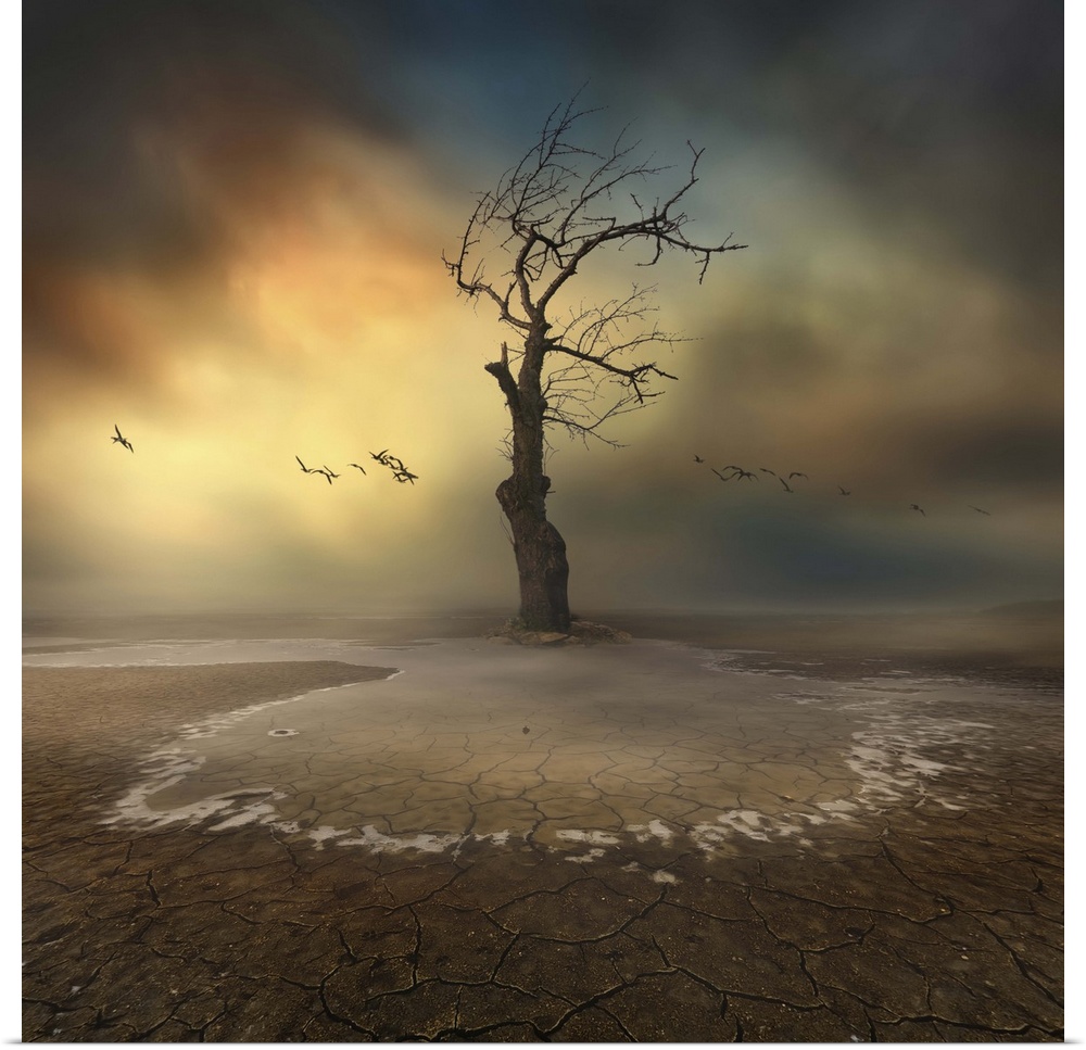 Conceptual image of a tree with bare branches in a dry landscape with cloudy skies.