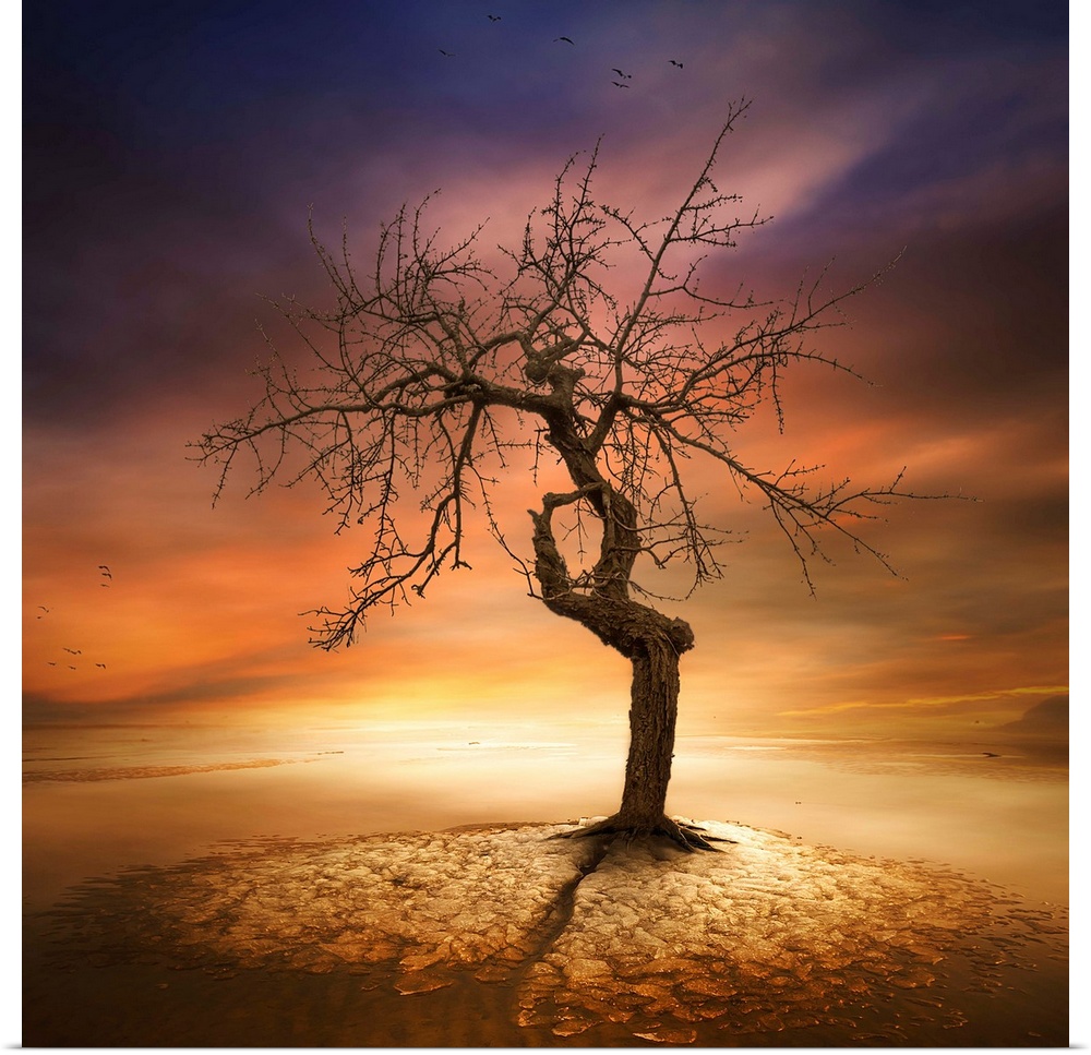 A dramatic photograph of a gnarled tree under a glowing sunset sky.
