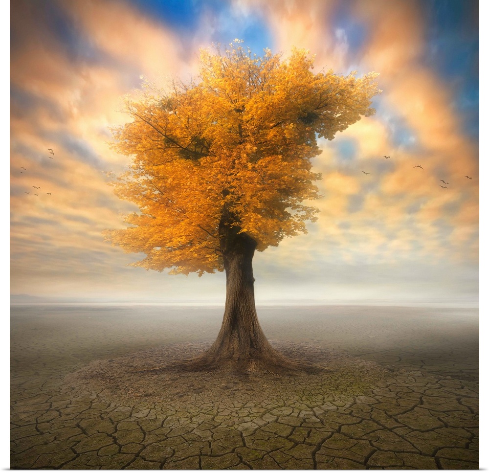 Conceptual image of a tree with fall leaves by itself in an arid desert, with colorful clouds above.