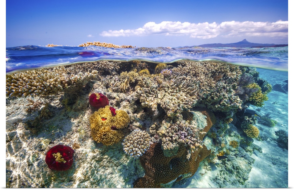 C'eest ca Mayotte, un lagon magnifique, le deuxieme lagon ferme du monde en superficie.
La particularitee de cet ile est ...