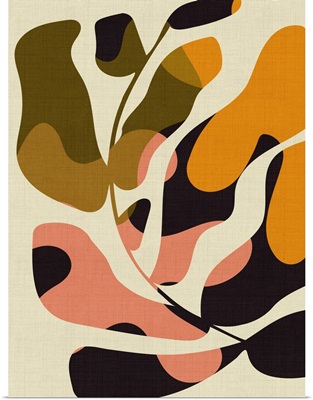 Mid Century Matisse