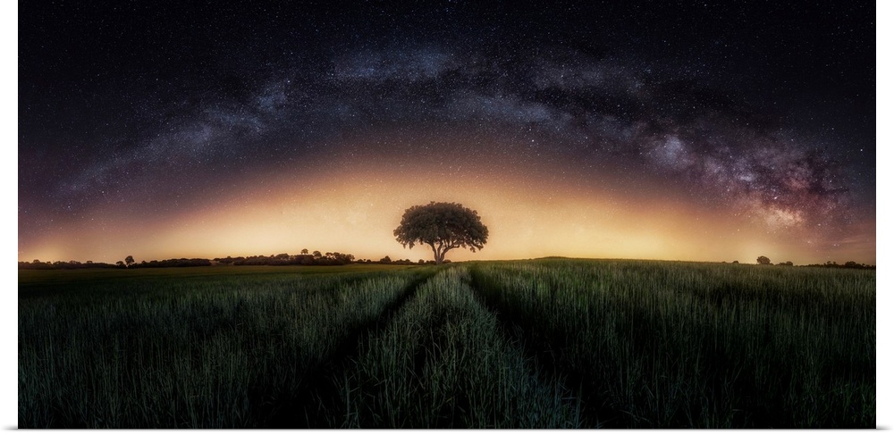 Milky Way Over Lonely Tree