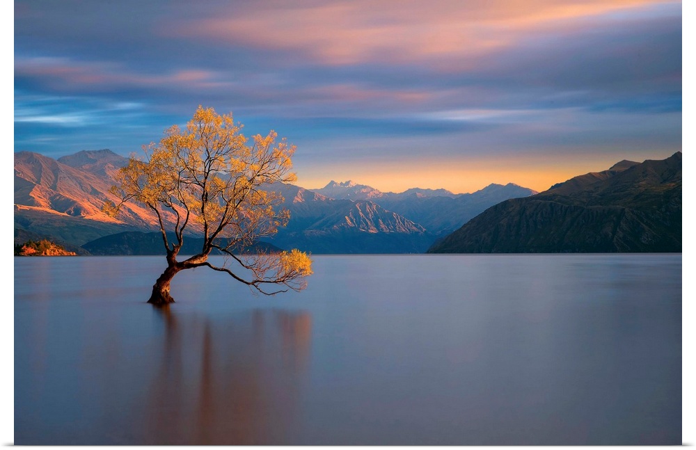 Landscape photograph of calm water and mountains with a yellow leafed tree at sunrise in Wanaka, New Zealand