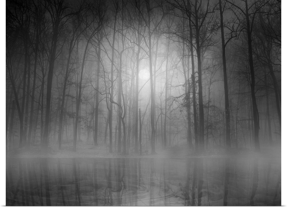 An eerie foggy forest scene casting its reflection in the water below.