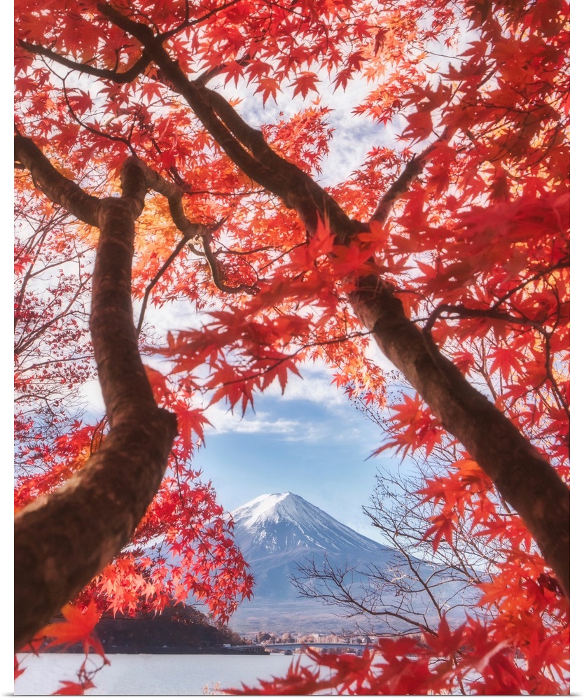 Mt. Fuji In The Autumn Leaves