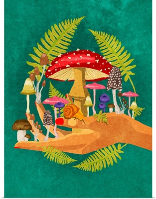 My Mushroom Cosmos