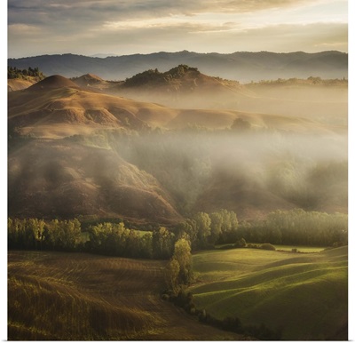 Mystical Waving Fields, Tuscany