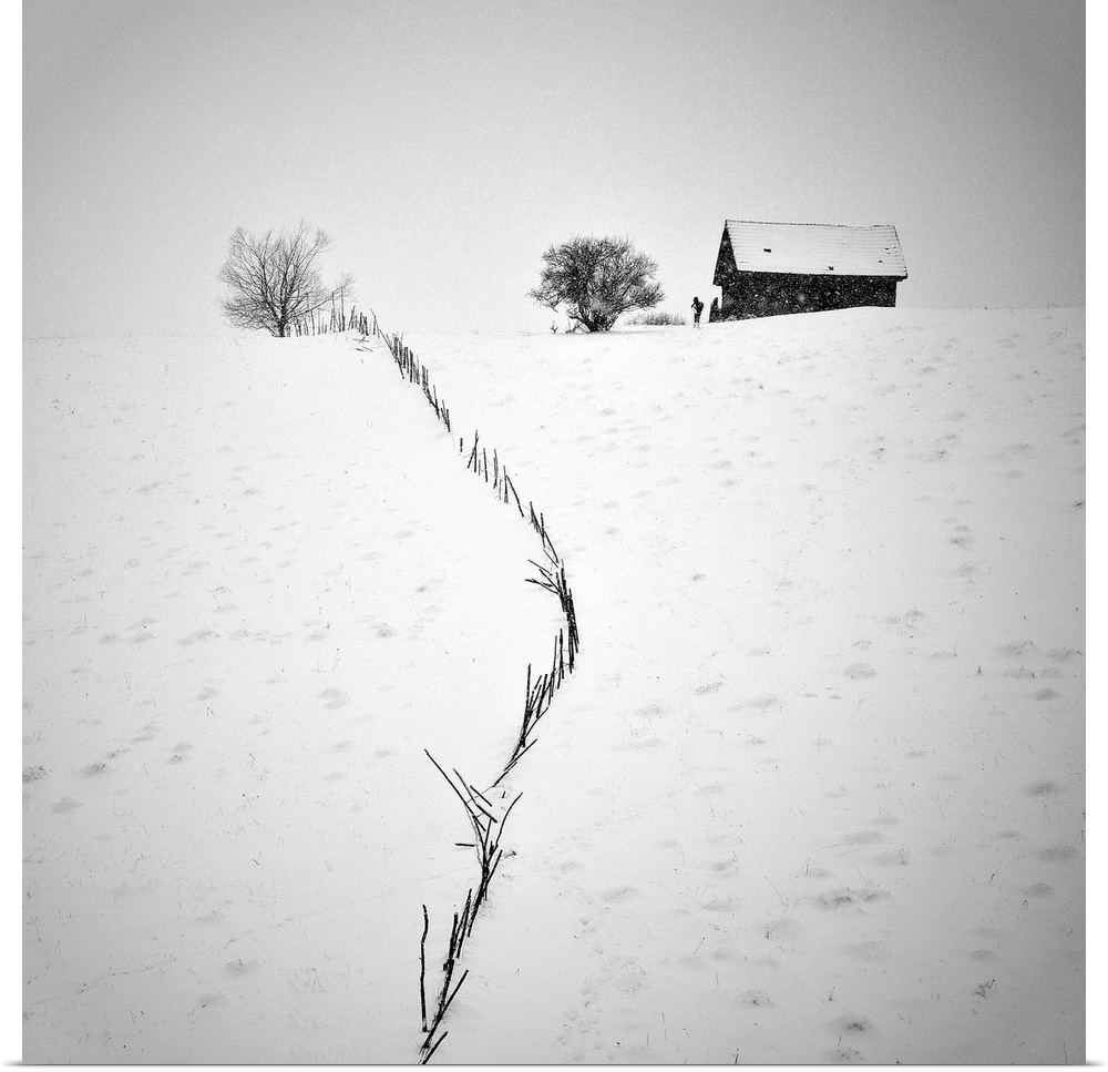 A stick fence cuts through a snowy landscape with a house and two trees on the horizon.