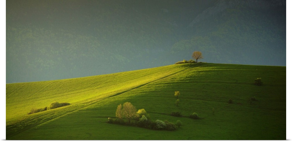 A verdant hill with warm sunlight in a valley in Slovakia.