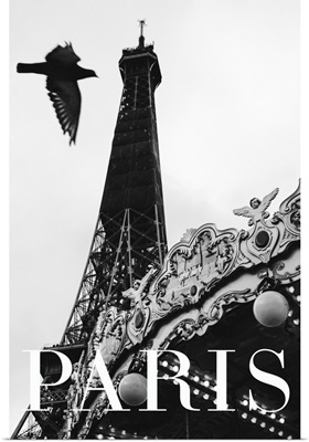 Paris Dove