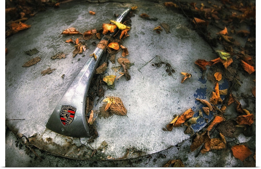Fallen leaves on the hood of an abandoned Porsche.