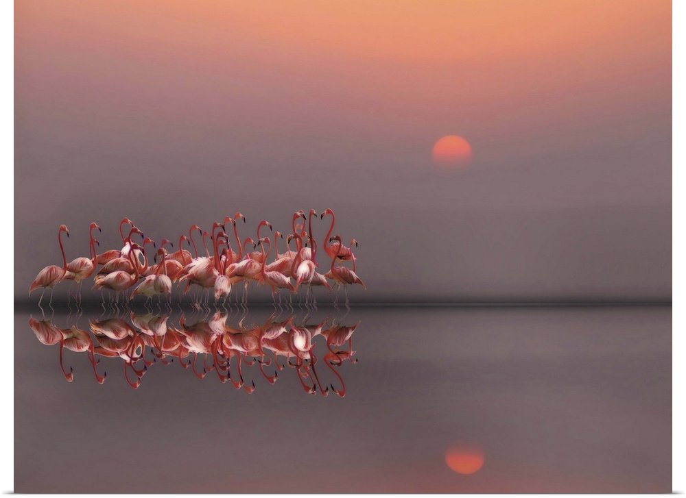A photograph of flamingos standing around in still water.