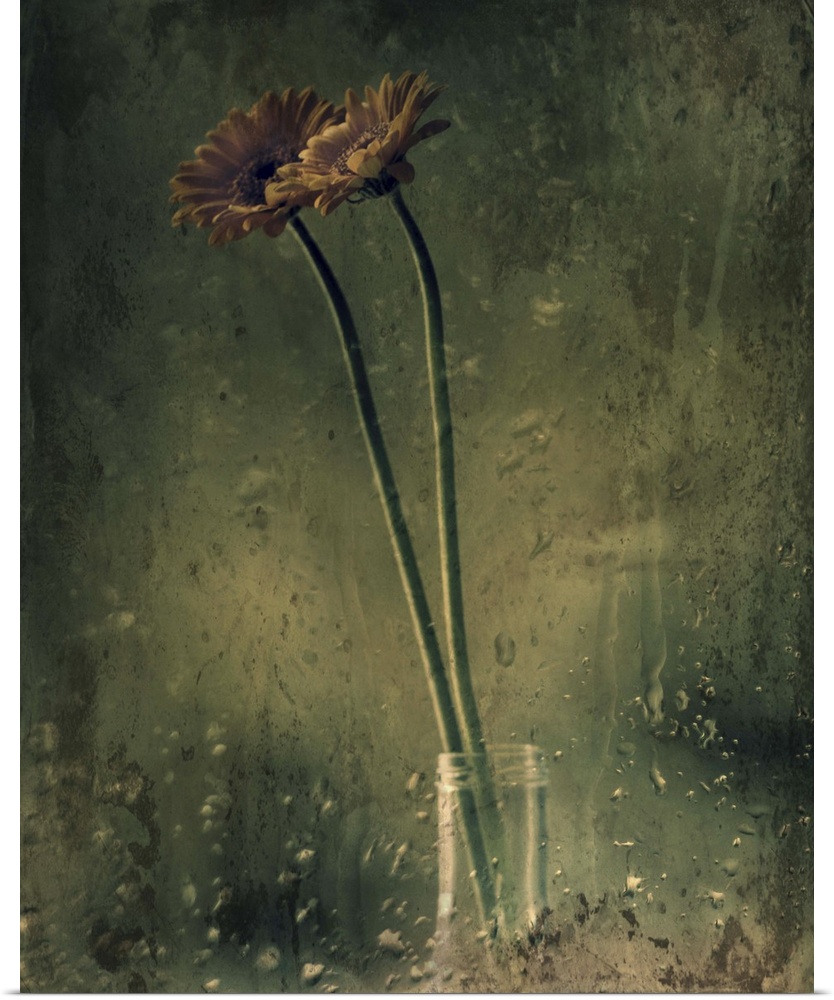 Grungy photograph of long stem flowers in a small glass vase.