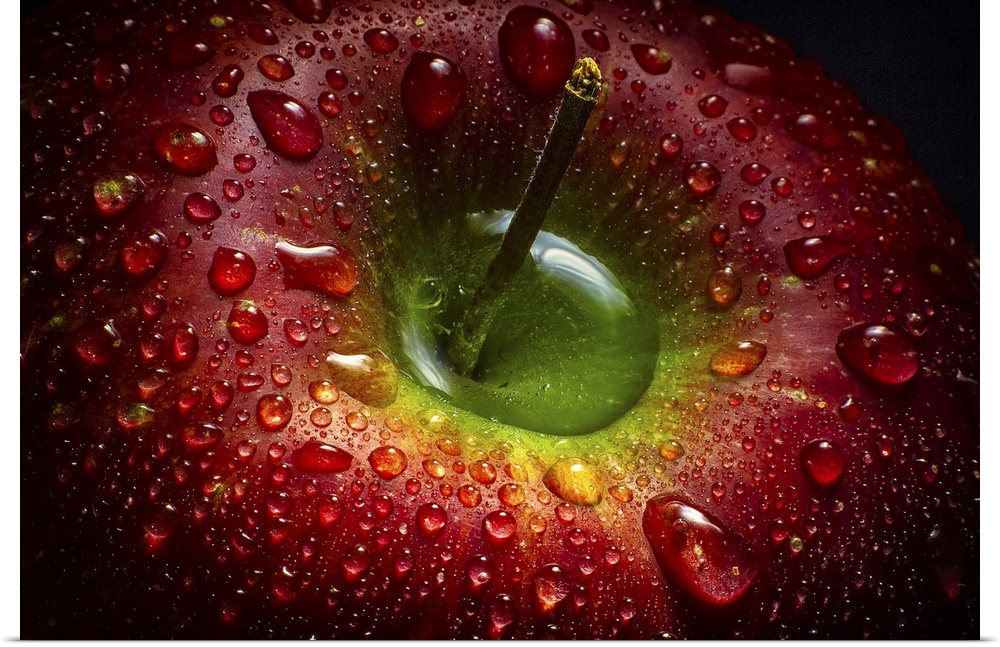 Macro photograph of a dark red apple glistening with beads of water.