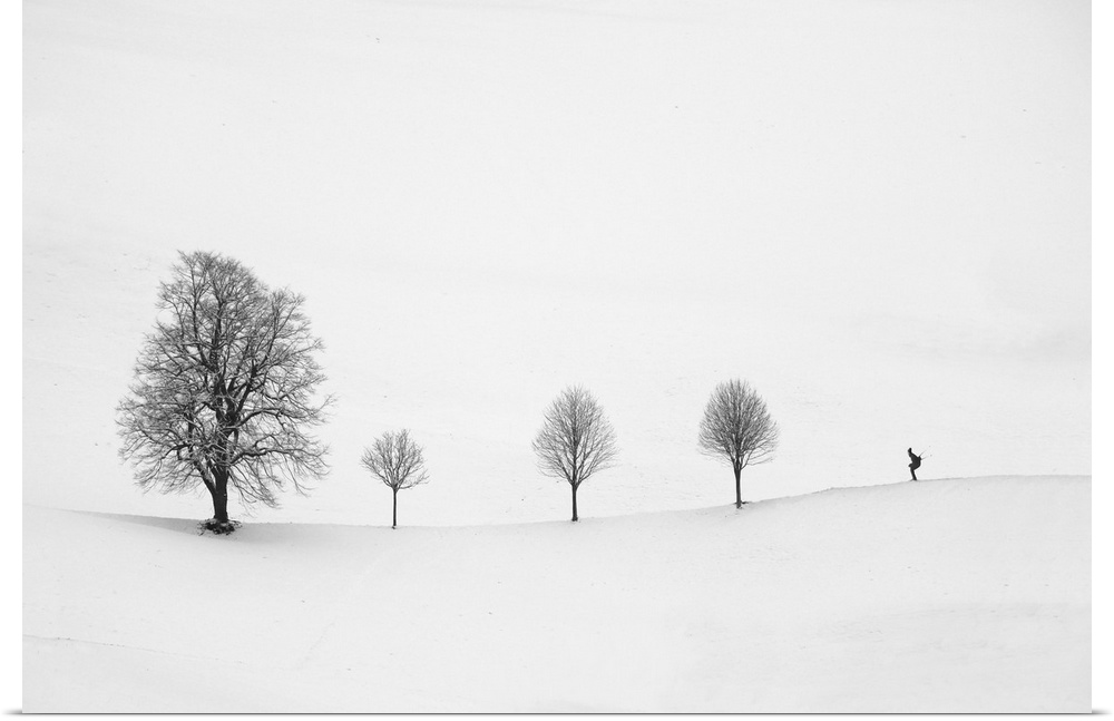 Minimalist image of a row of three small trees with one larger tree and a skier.