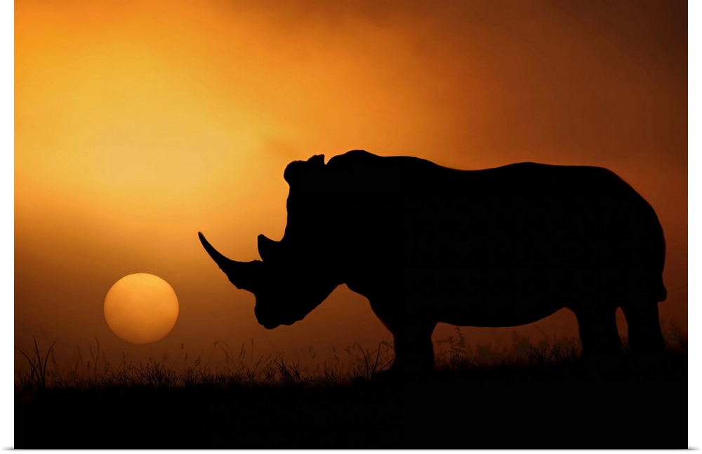 A rhinoceros stands in silhouette in the African Savannah with the sun setting in the distance.