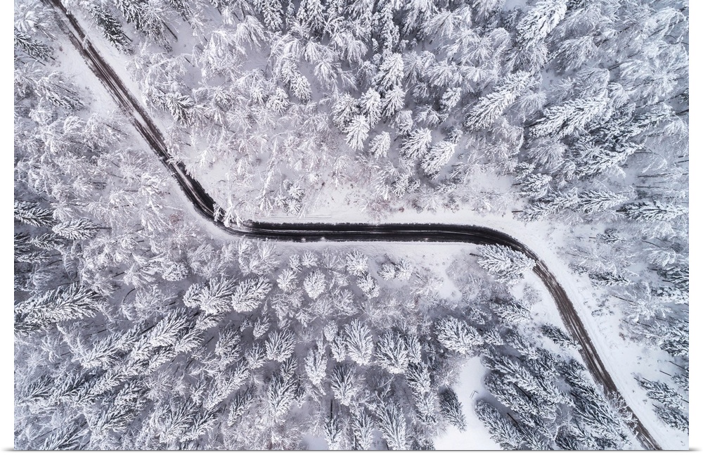 Aerial view of the road through a winter forest