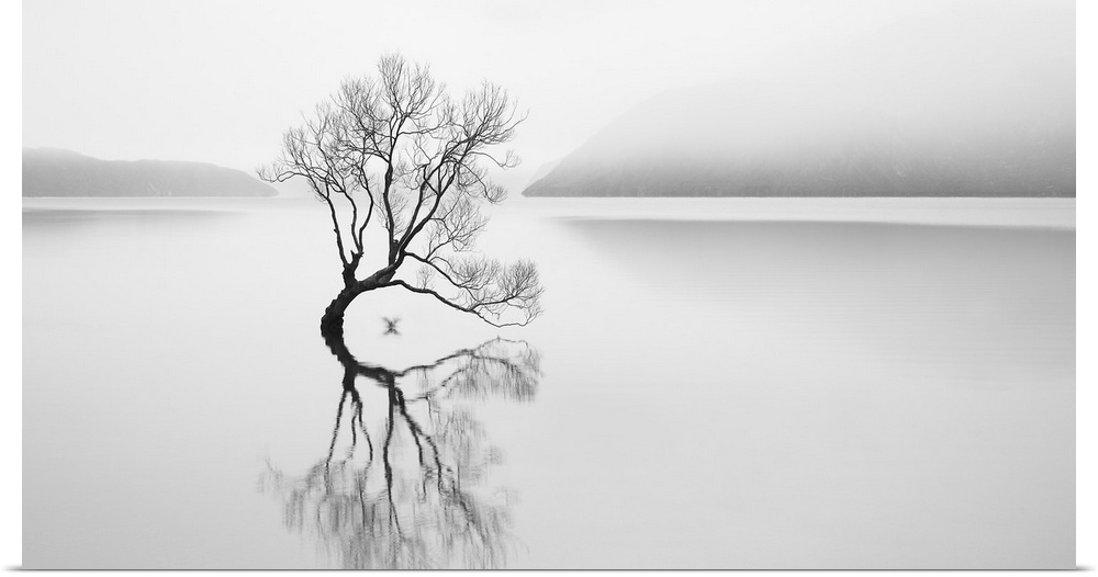 A tree with bare branches submerged in a lake, with its mirror image reflecting in the water.