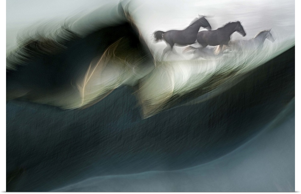 Blurred motion image of a herd of galloping horses, framed by the mane of a horse in the foreground.