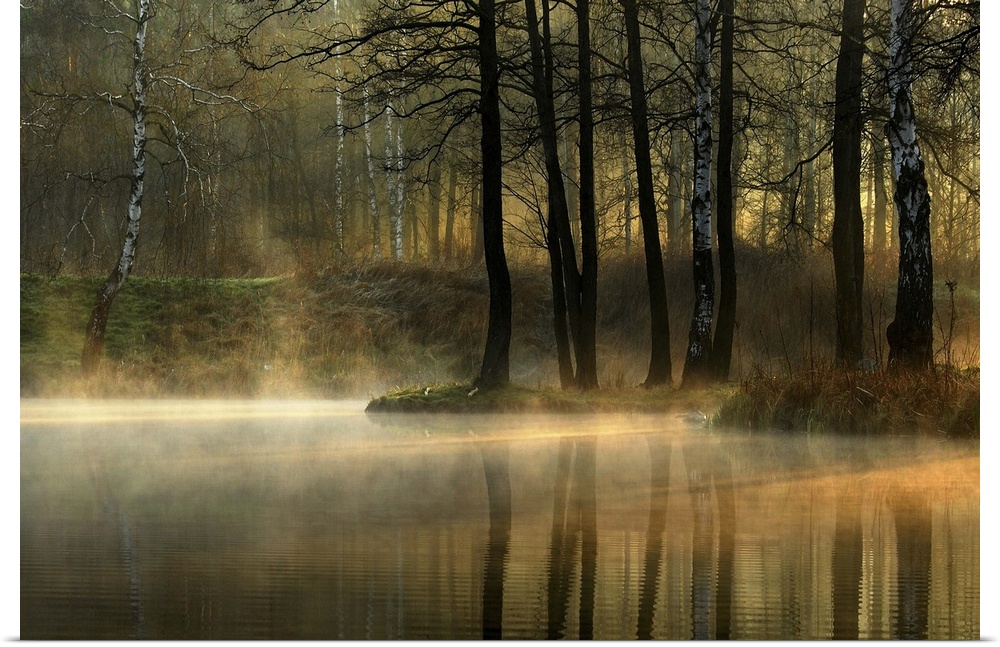 Mist rising from a pond in a forest with morning light filtering through the trees.
