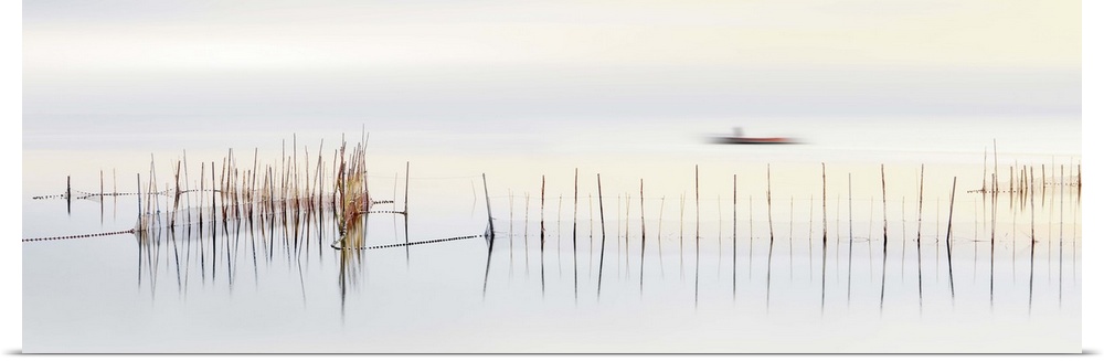 Long exposure of reeds in a pond with a  boat traveling along the water.