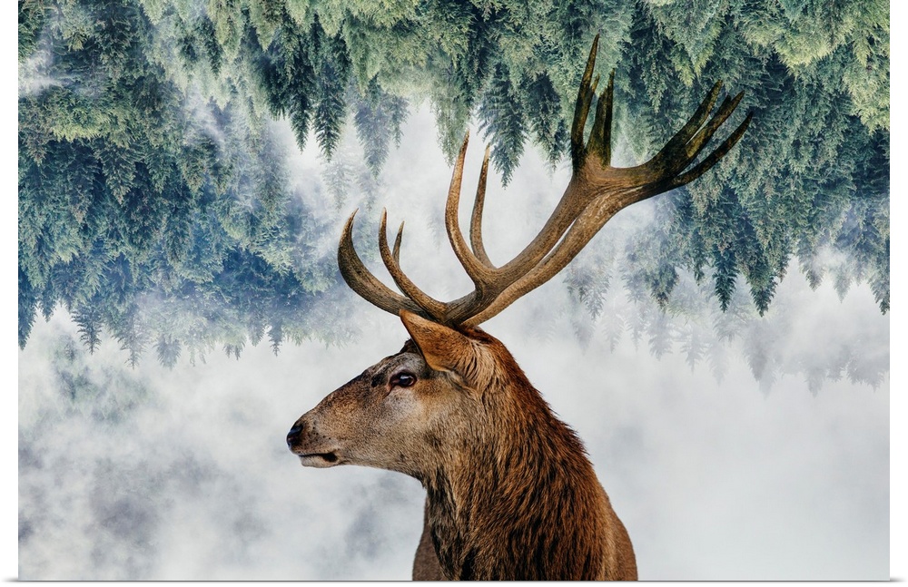 The Deer And The Woods