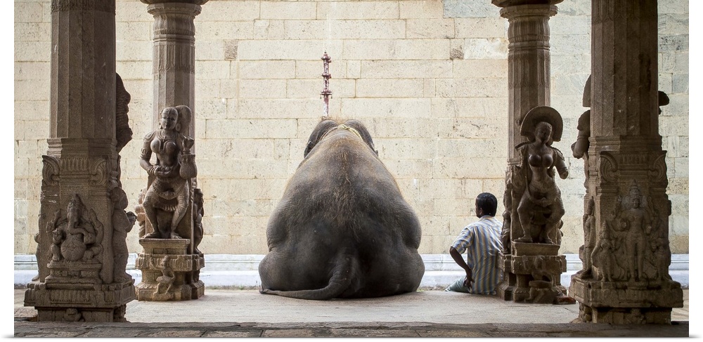 An elephant and a man sit side by side in a temple in India.
