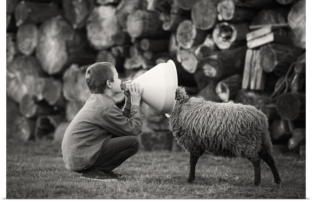 A black and white photograph of a child talking into funnel with a sheep poking its head into the other end.