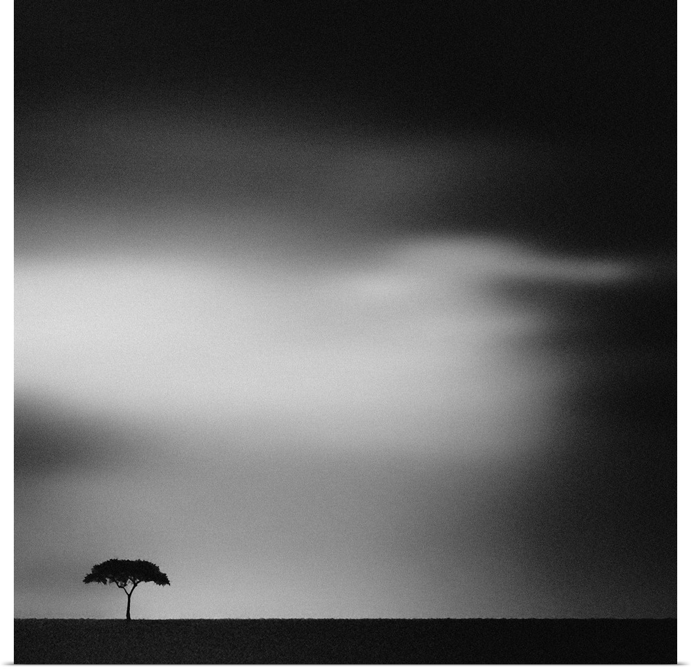 A lone tree stands strong in flat dark African Savannah landscape.