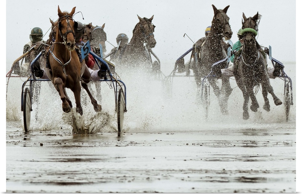 Action shot of a harness race, where horses pull a two-wheeled cart called a sulky.