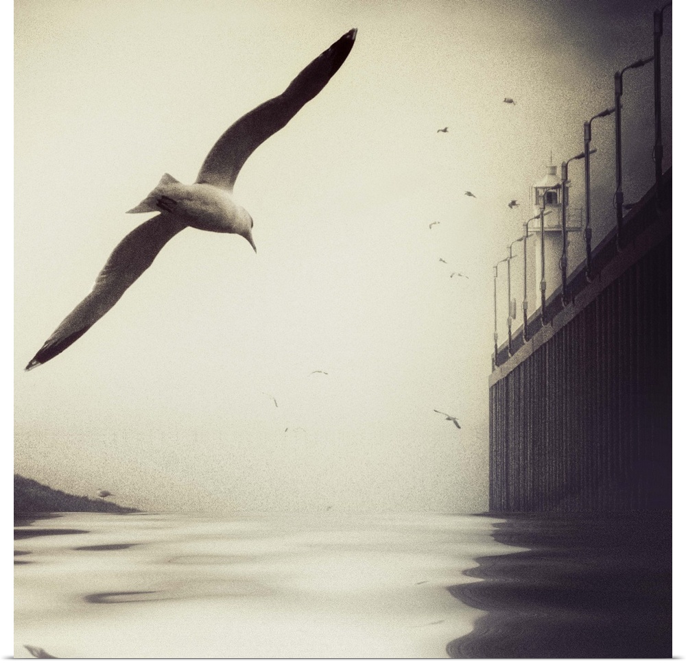 A seagull flies low over the water, its flock-mates and a lighthouse in the distance.