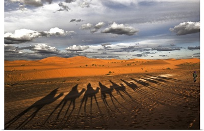 Through The Dunes Of Merzouga (Morocco)